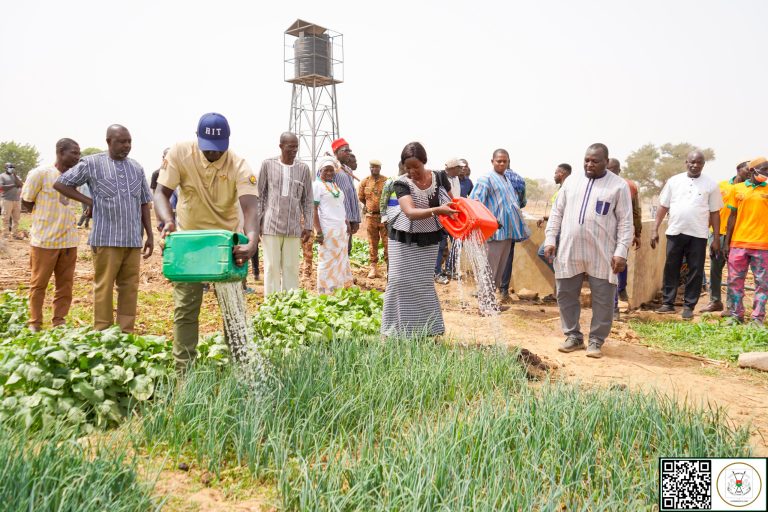 Mois de la femme Autonomisation des femmes de Komtoèga : 8 hectares aménagés pour le maraîchage