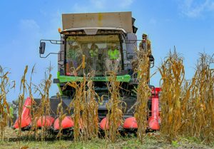 Offensive agropastorale : le Premier ministre lance la récolte mécanisée du maïs à Bagré